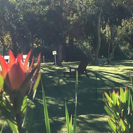 Bed and Breakfast Constantia Spring Экстерьер фото
