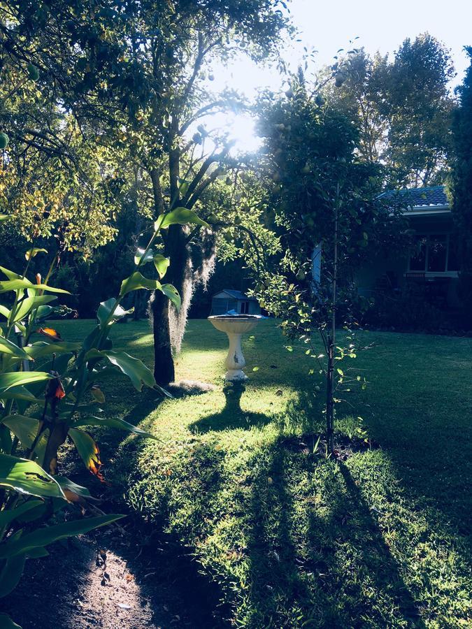 Bed and Breakfast Constantia Spring Экстерьер фото