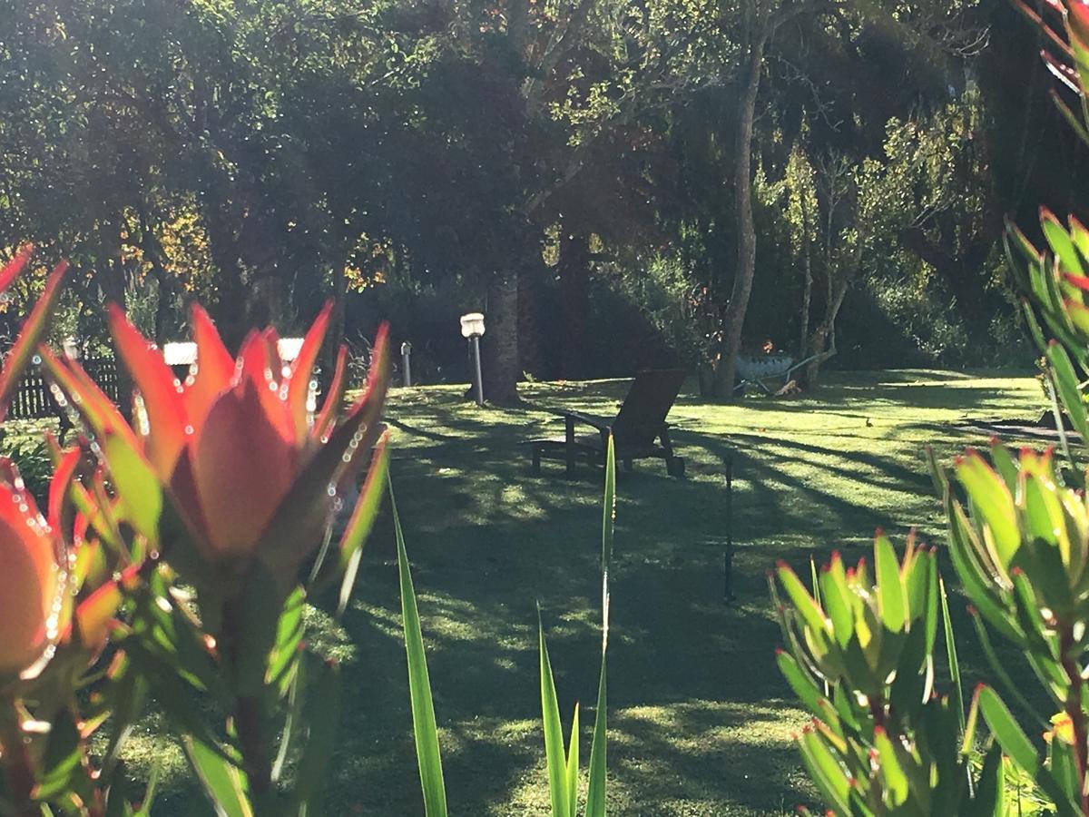 Bed and Breakfast Constantia Spring Экстерьер фото